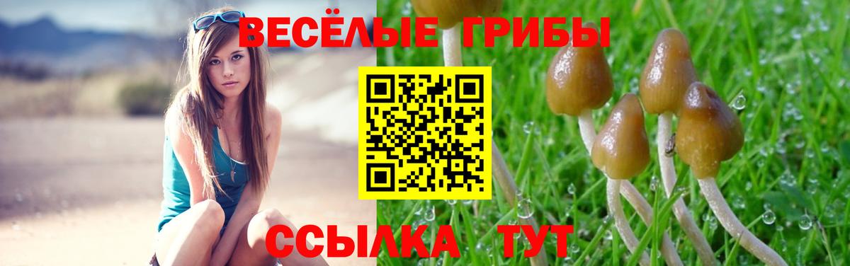 Галлюциногенные грибы Psilocybine cubensis  Вход с VPN  Пугачёв 