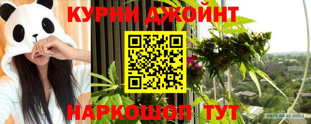 Марихуана сатива Пугачёв